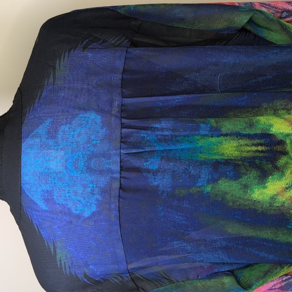 Serengeti sheer, long sleeved, multi color dress. Size XL. - Picture 6 of 9
